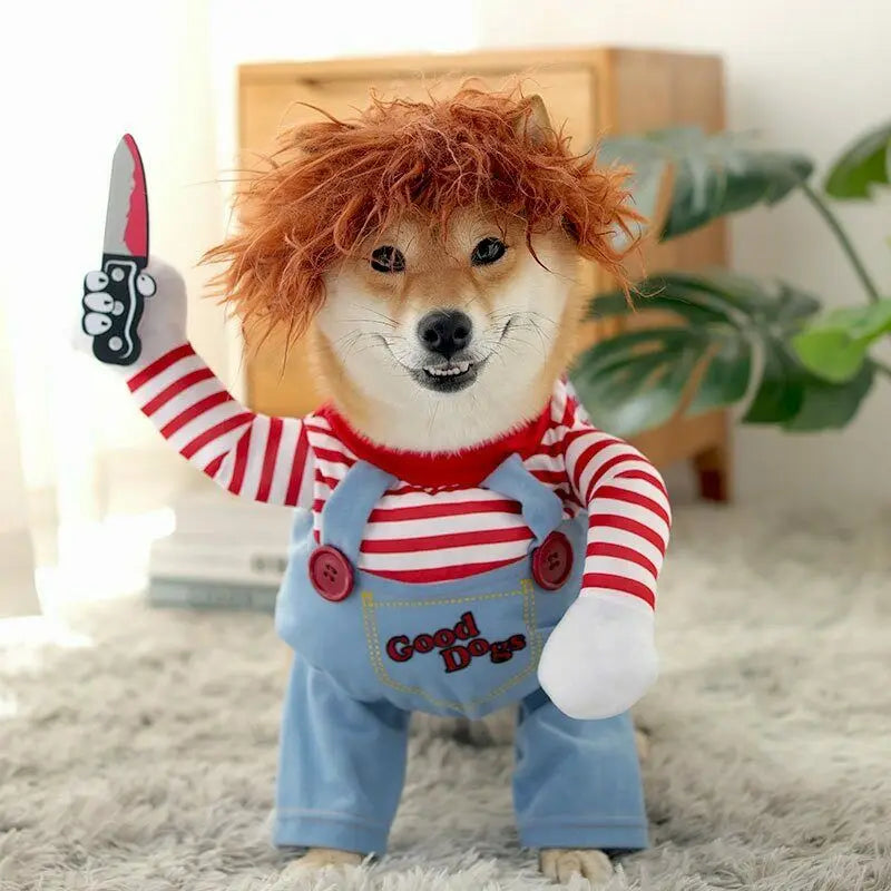Pet Halloween Costume