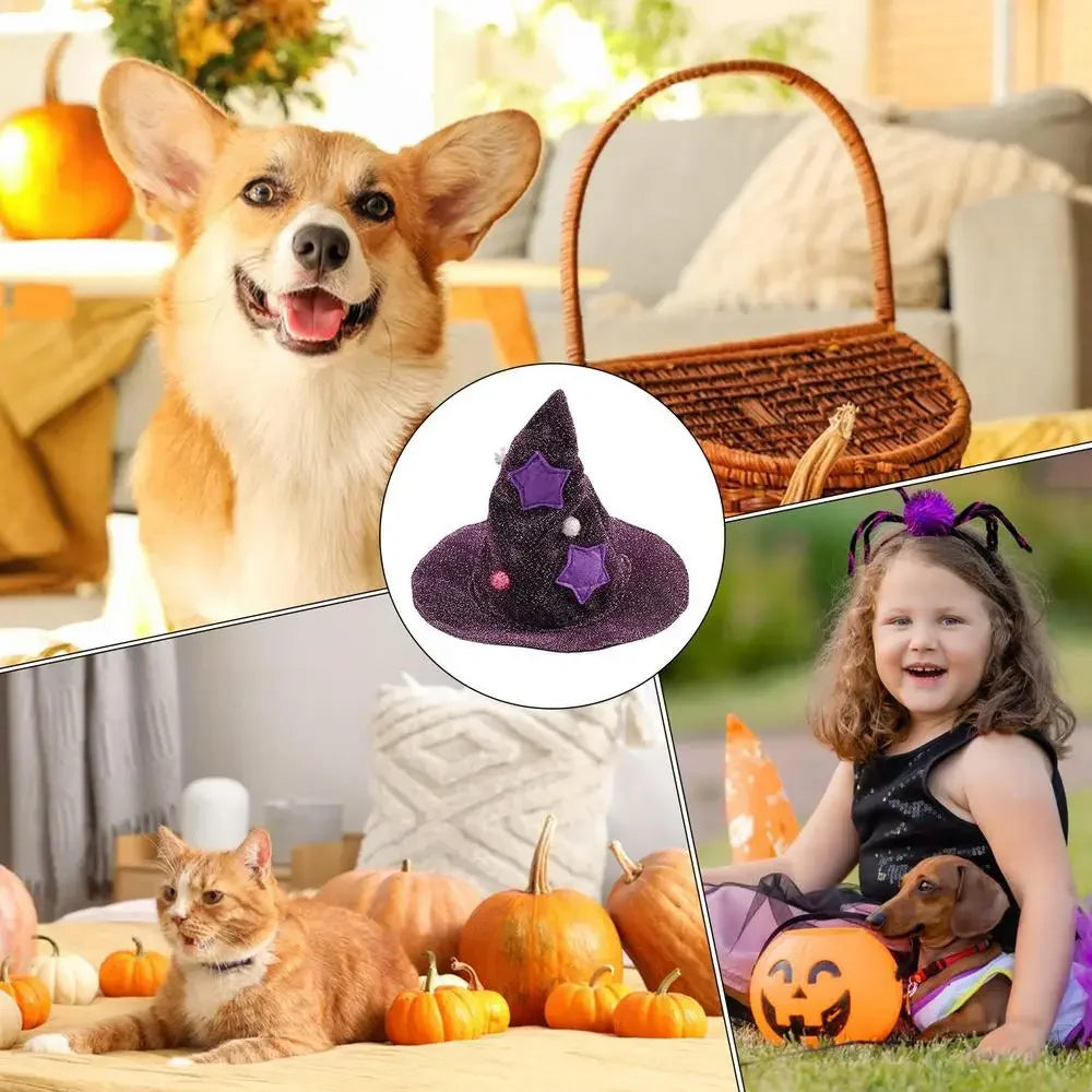 Pet Wizard Halloween Costume