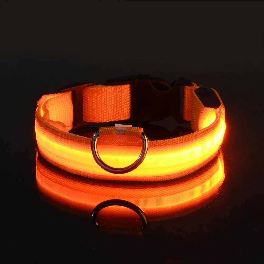LED Light Up Dog Collar