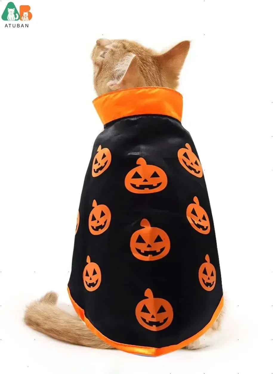 Cat Halloween Costume