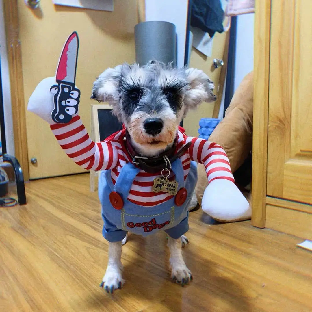 Pet Halloween Costume