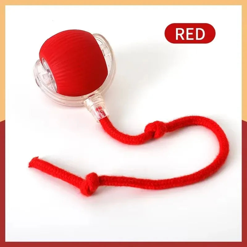 Smart Cat Toy