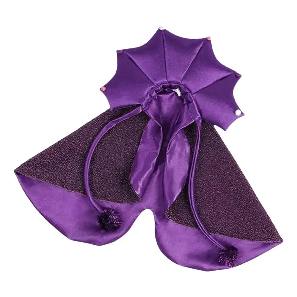 Pet Wizard Halloween Costume