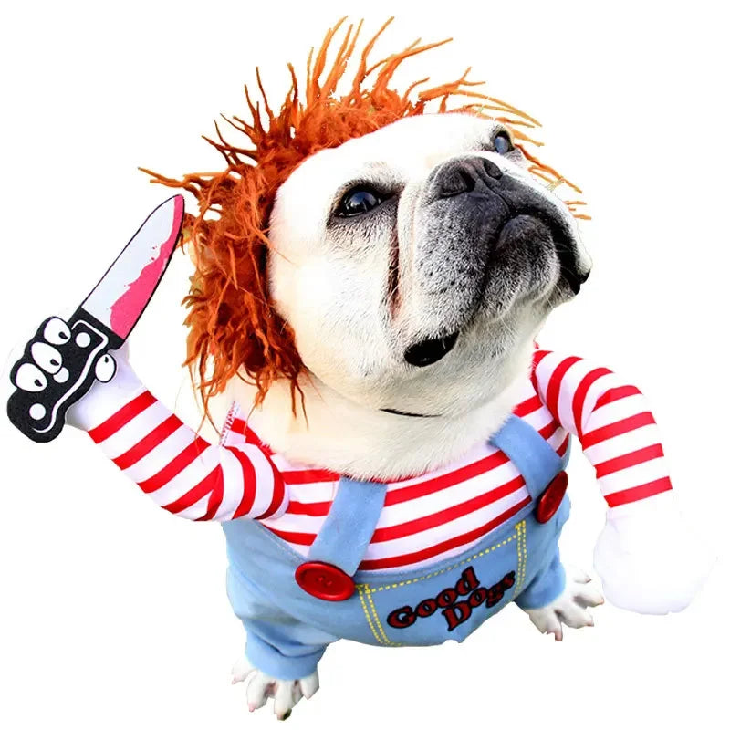 Pet Halloween Costume