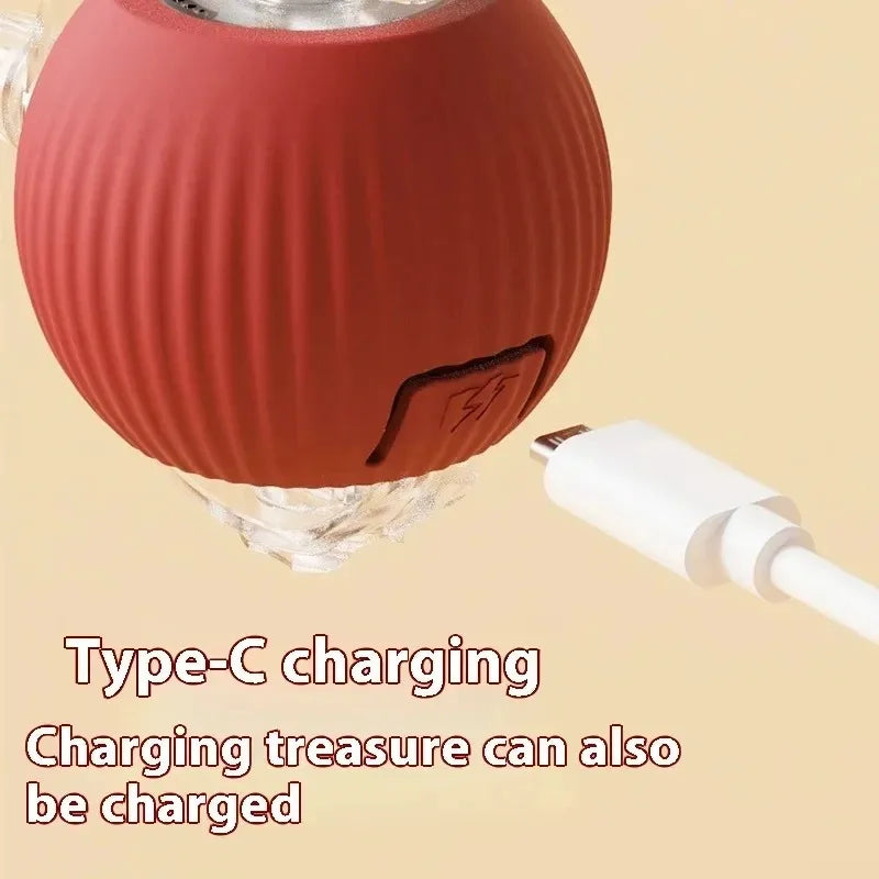 Smart Cat Toy