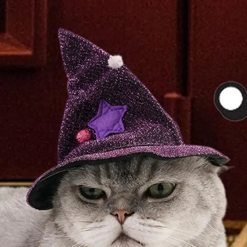 Pet Wizard Halloween Costume