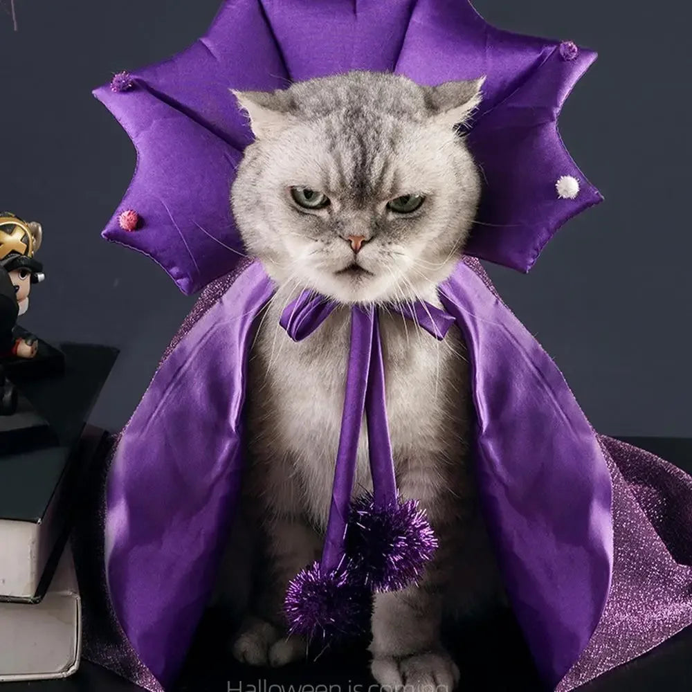 Pet Wizard Halloween Costume