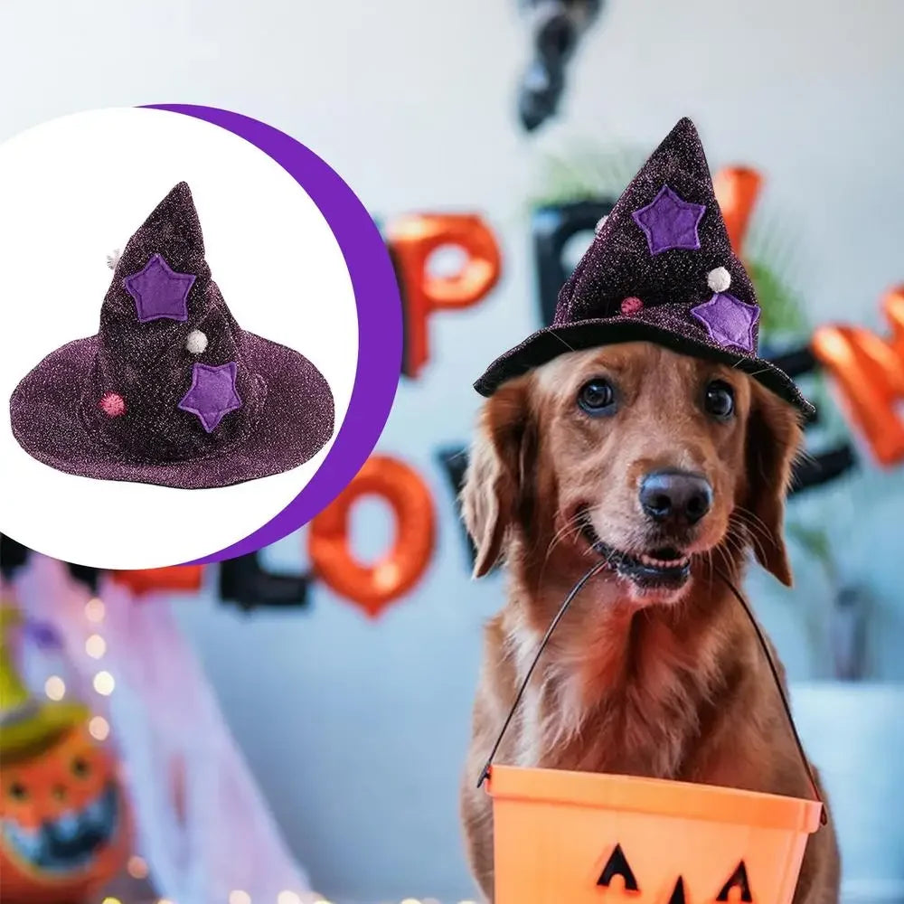 Pet Wizard Halloween Costume