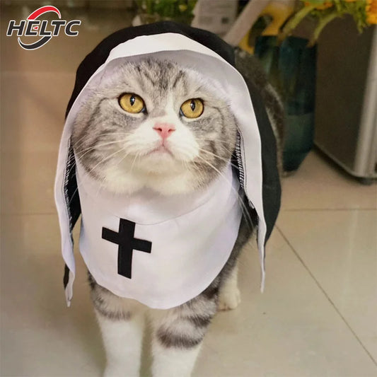 Pet Halloween Costume