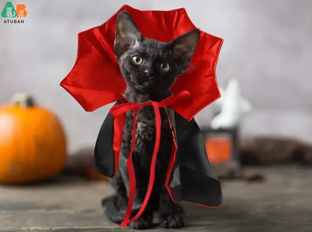 Cat Halloween Costume