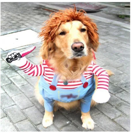 Pet Halloween Costume