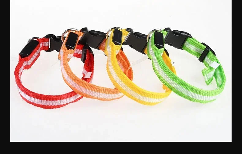 LED Light Up Dog Collar