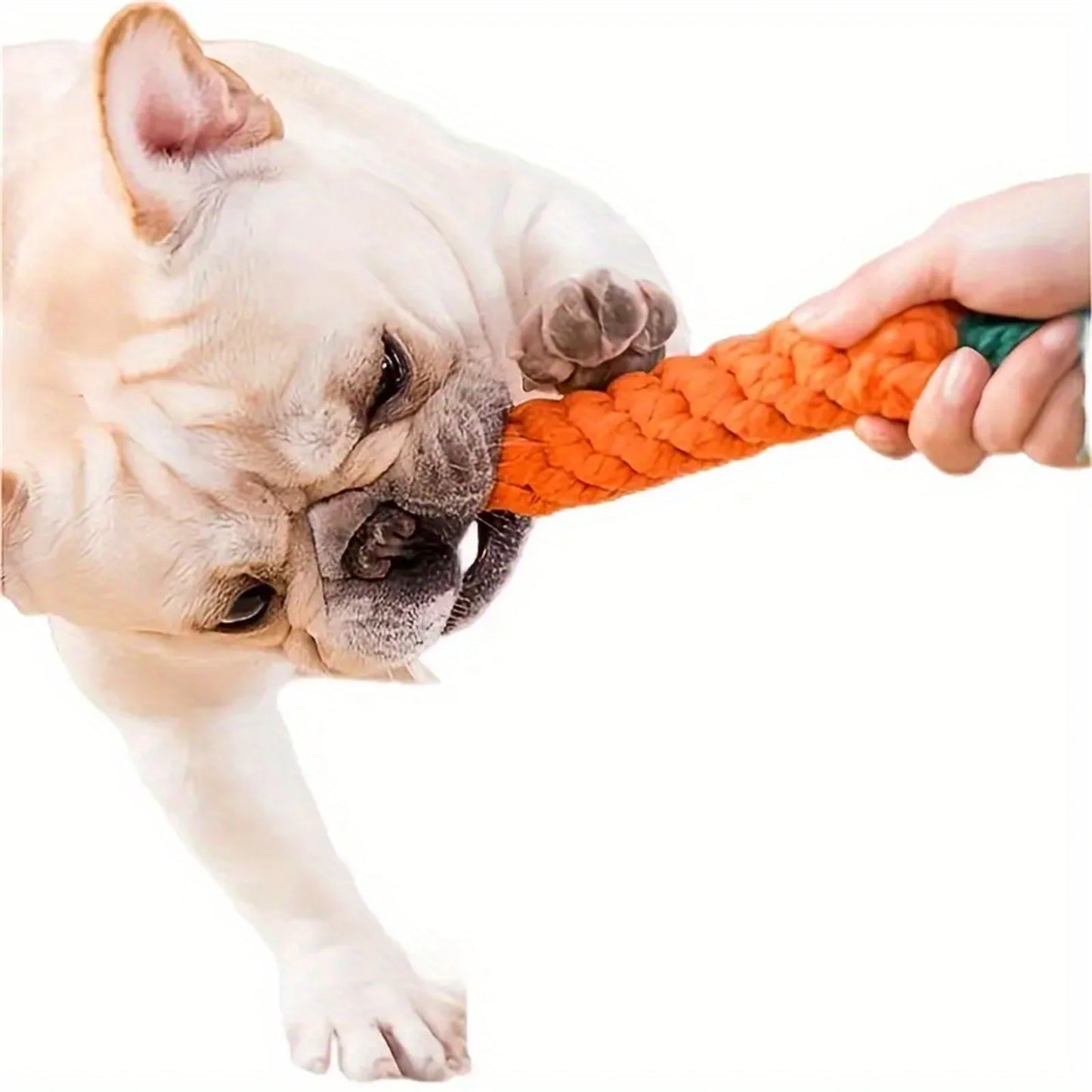 Carrot Dog toy
