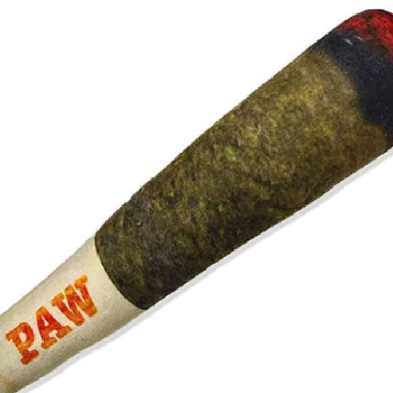 Dog Cigar Plush Toy