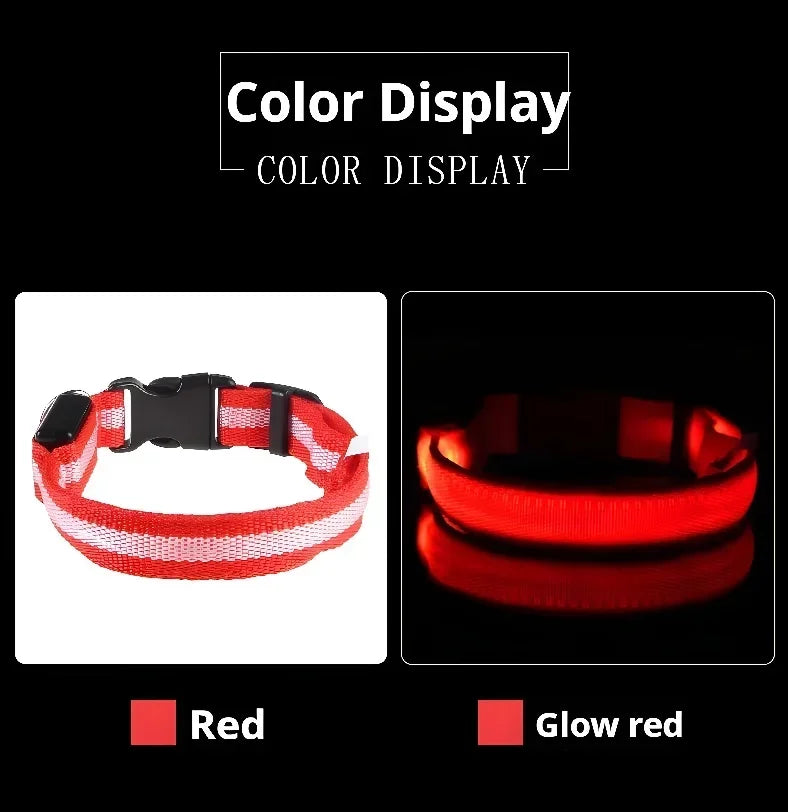 LED Light Up Dog Collar