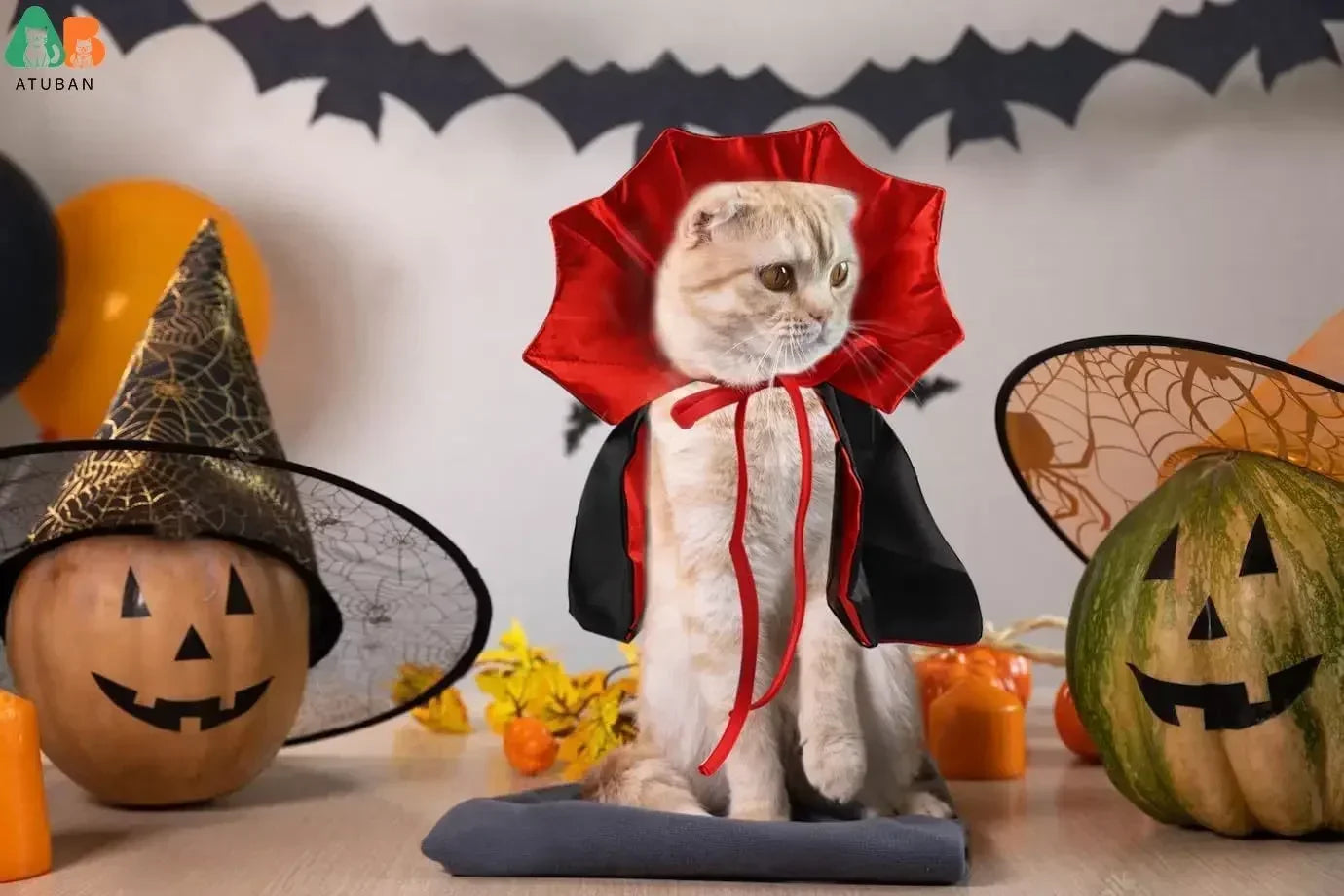 Cat Halloween Costume