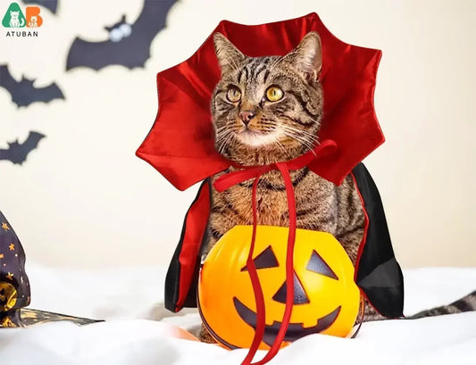 Cat Halloween Costume