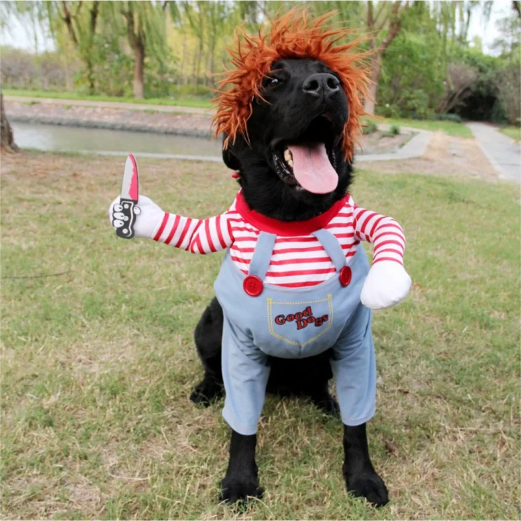 Pet Halloween Costume