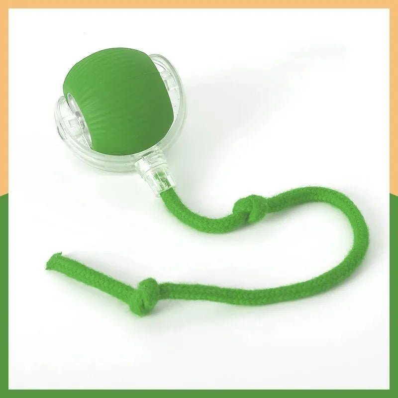 Smart Cat Toy