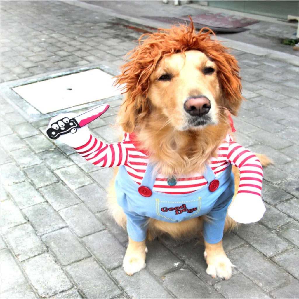 Pet Halloween Costume