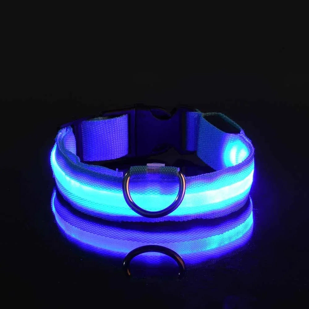LED Light Up Dog Collar