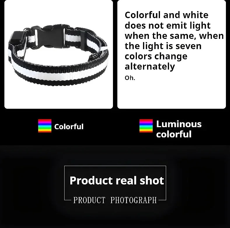 LED Light Up Dog Collar