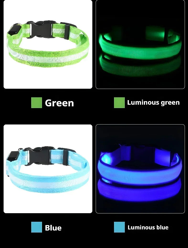 LED Light Up Dog Collar
