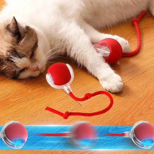 Smart Cat Toy