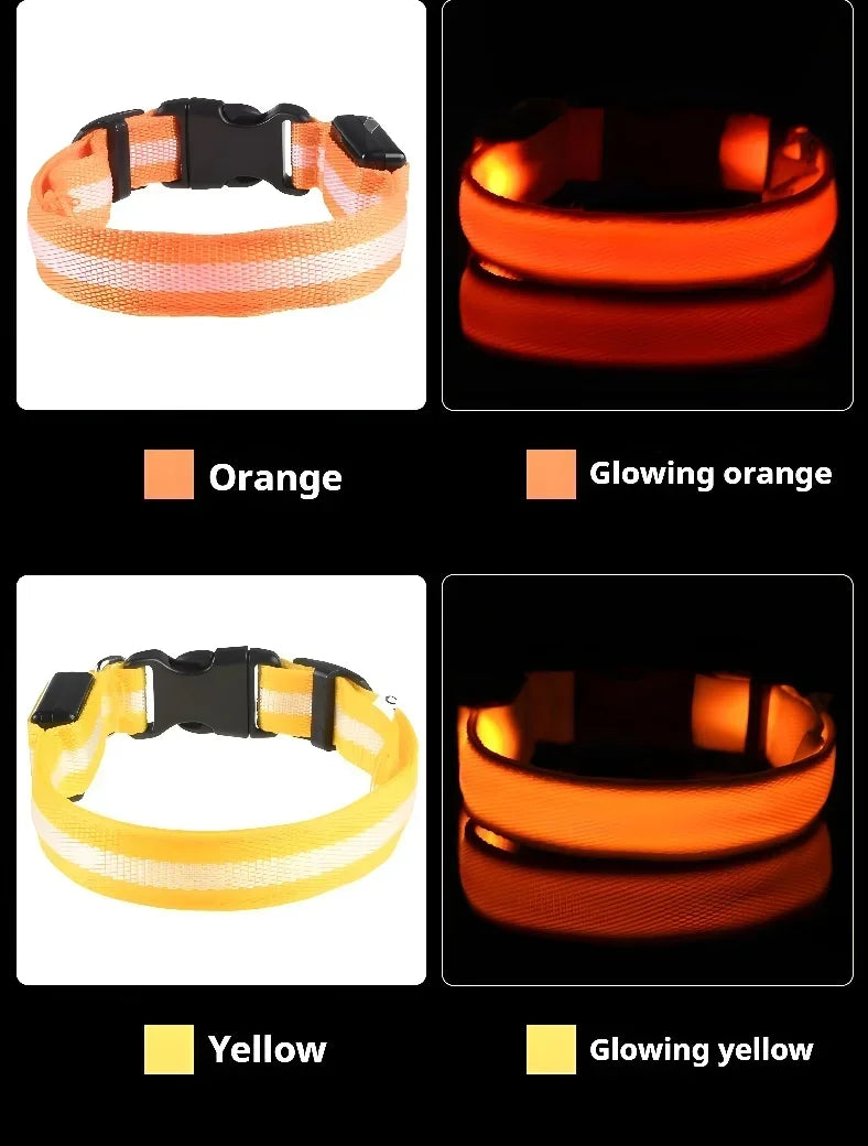 LED Light Up Dog Collar