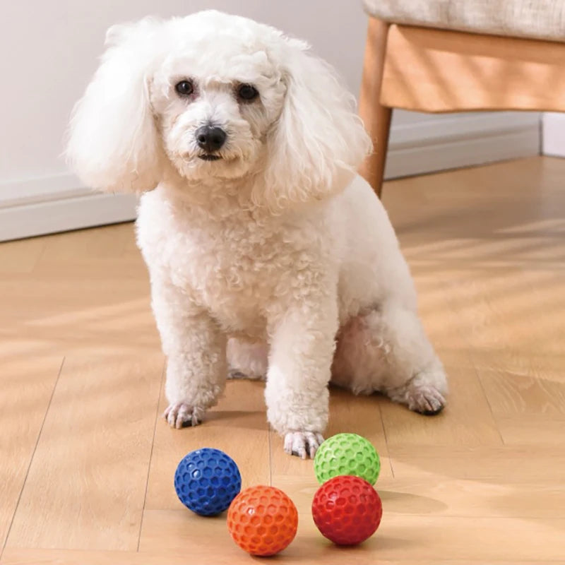 2pc Indestructible Squeaky Dog Ball