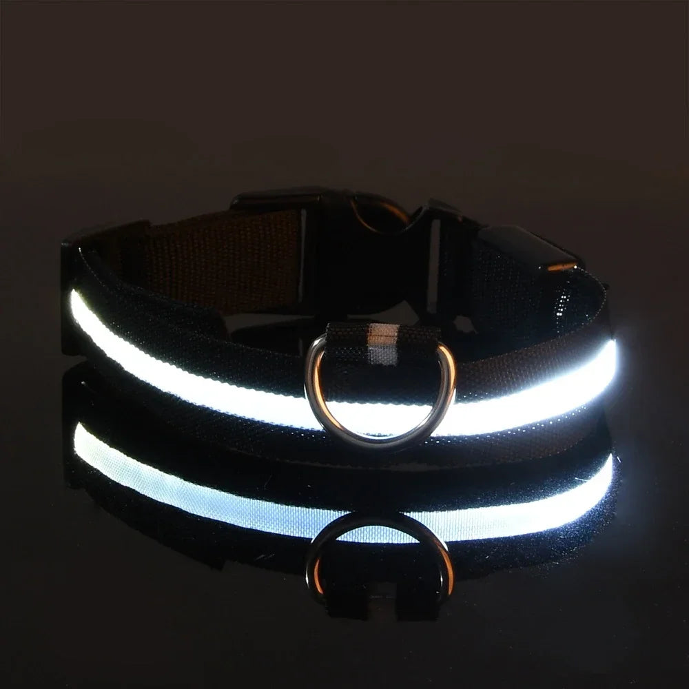 LED Light Up Dog Collar