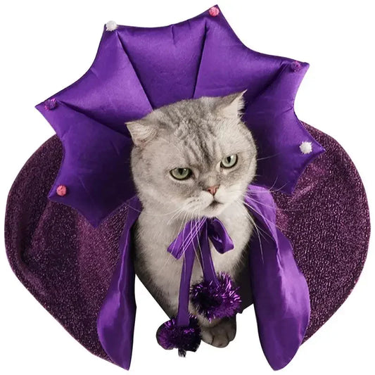 Pet Wizard Halloween Costume
