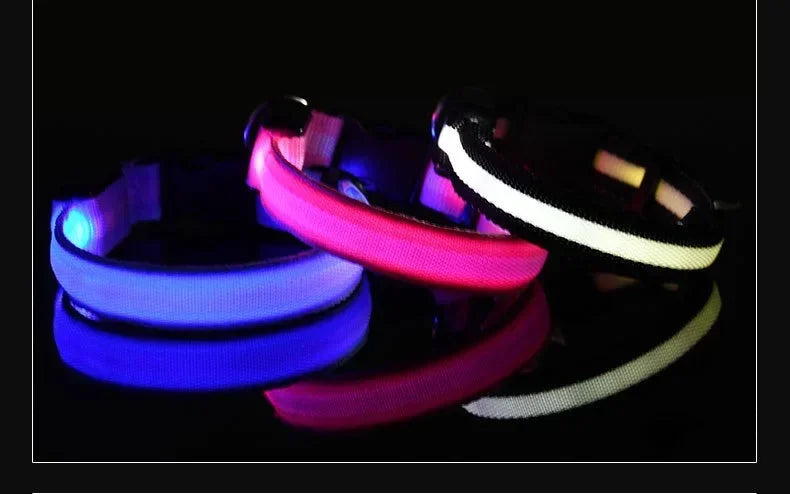 LED Light Up Dog Collar