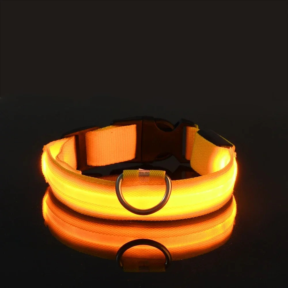 LED Light Up Dog Collar