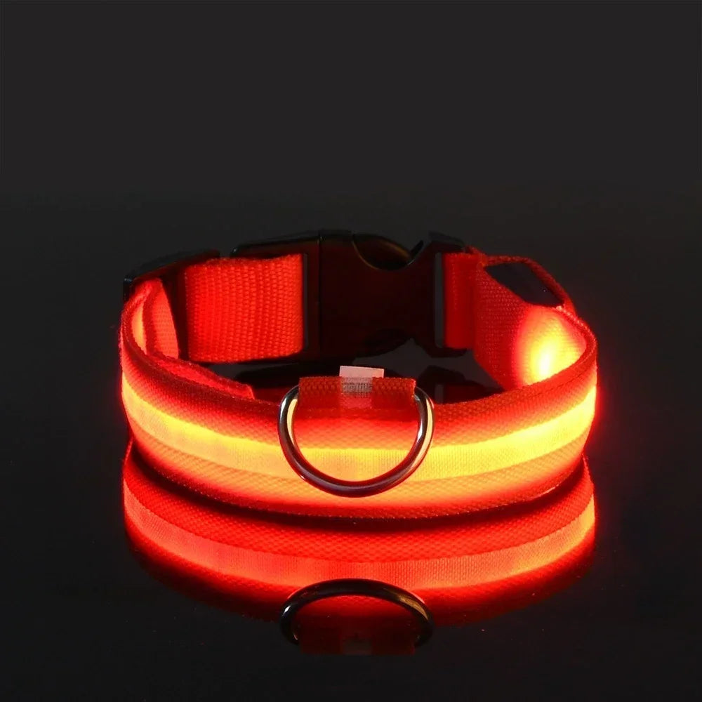 LED Light Up Dog Collar