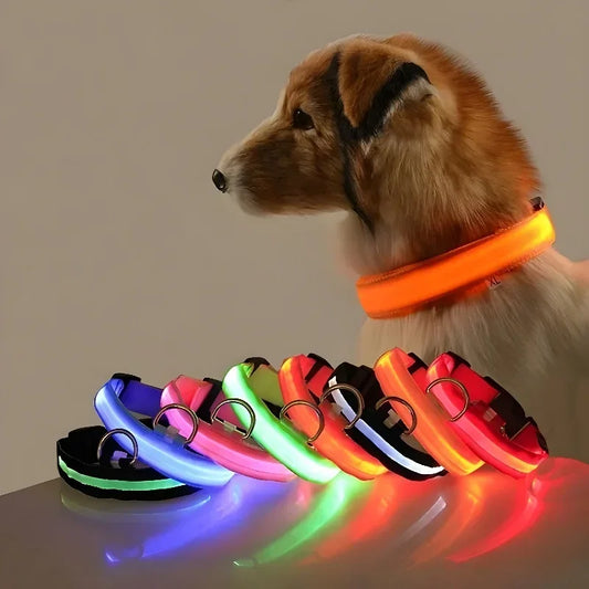 LED Light Up Dog Collar