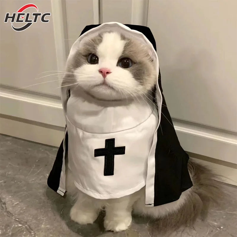 Pet Halloween Costume