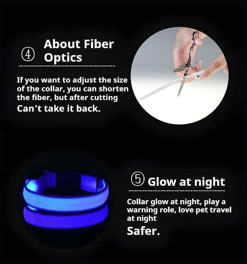 LED Light Up Dog Collar
