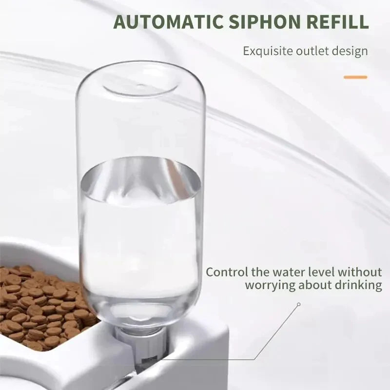 Dual food dish with auto water