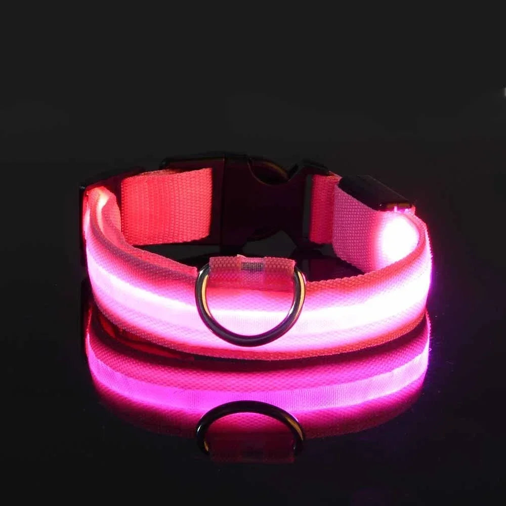 LED Light Up Dog Collar