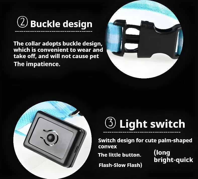 LED Light Up Dog Collar
