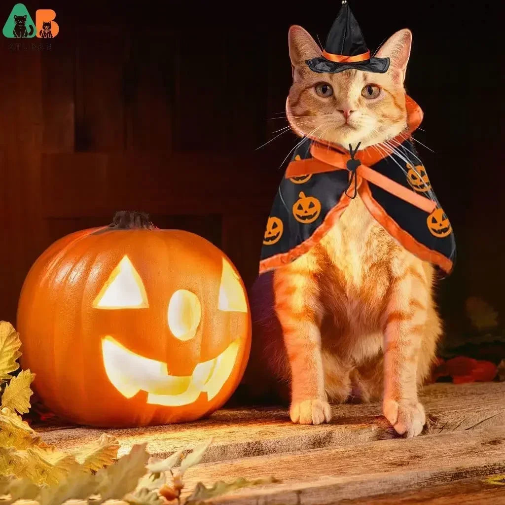 Cat Halloween Costume
