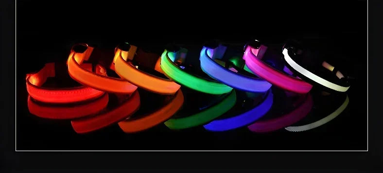 LED Light Up Dog Collar