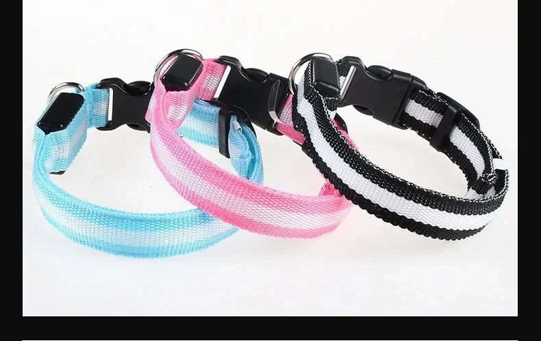 LED Light Up Dog Collar