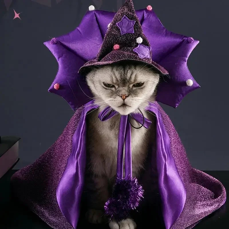 Pet Wizard Halloween Costume