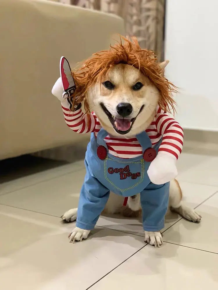 Pet Halloween Costume