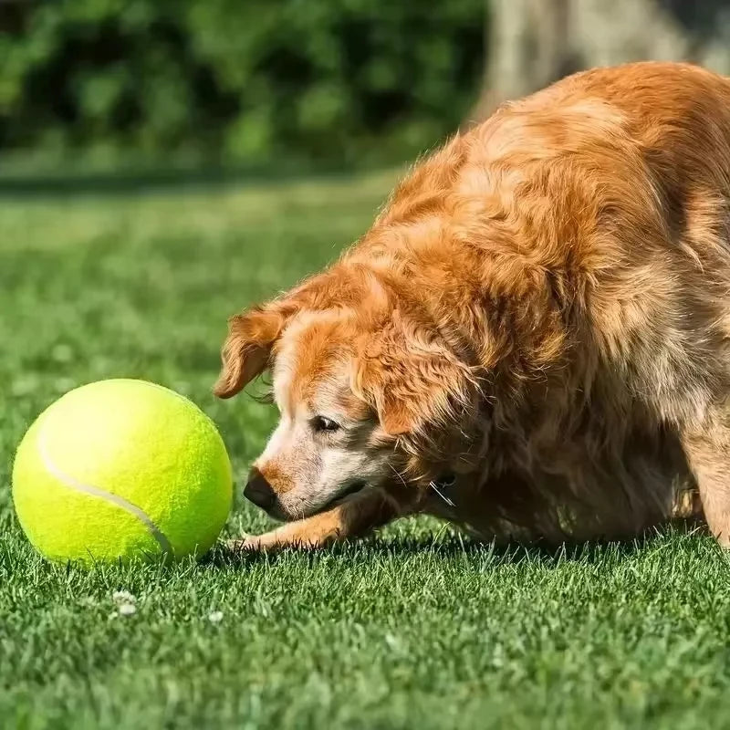 7/9.5Inch Giant Tennis Ball