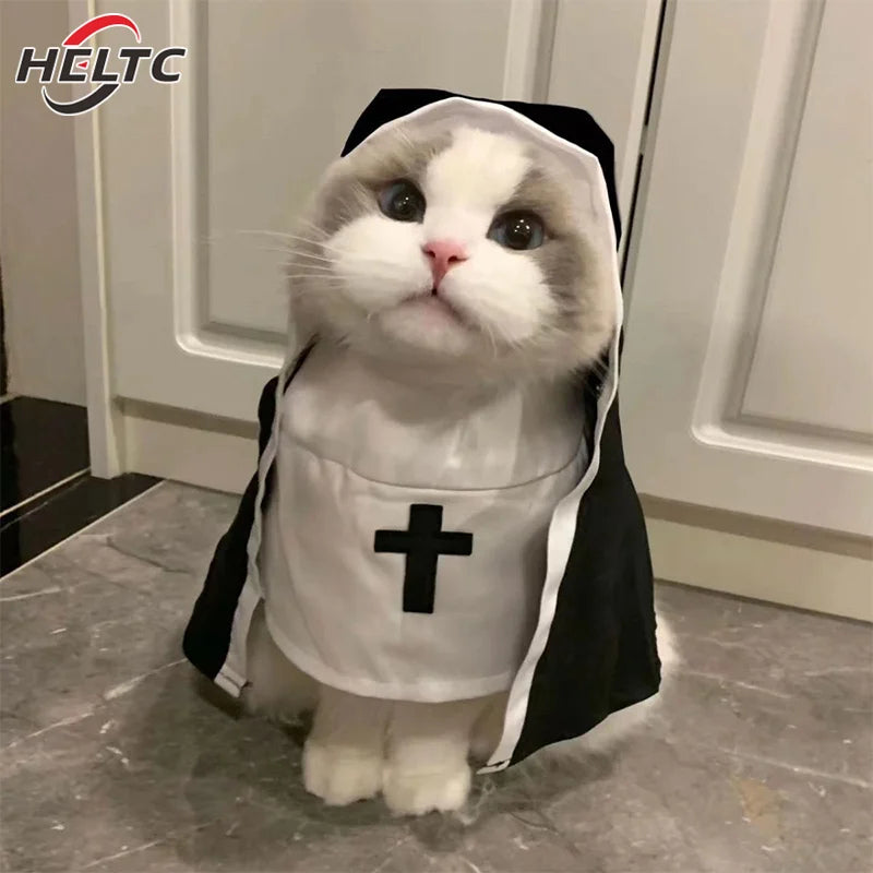Pet Halloween Costume