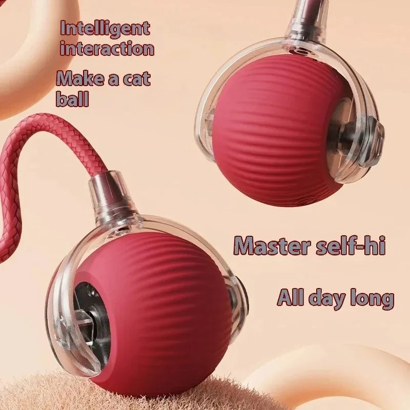 Smart Cat Toy