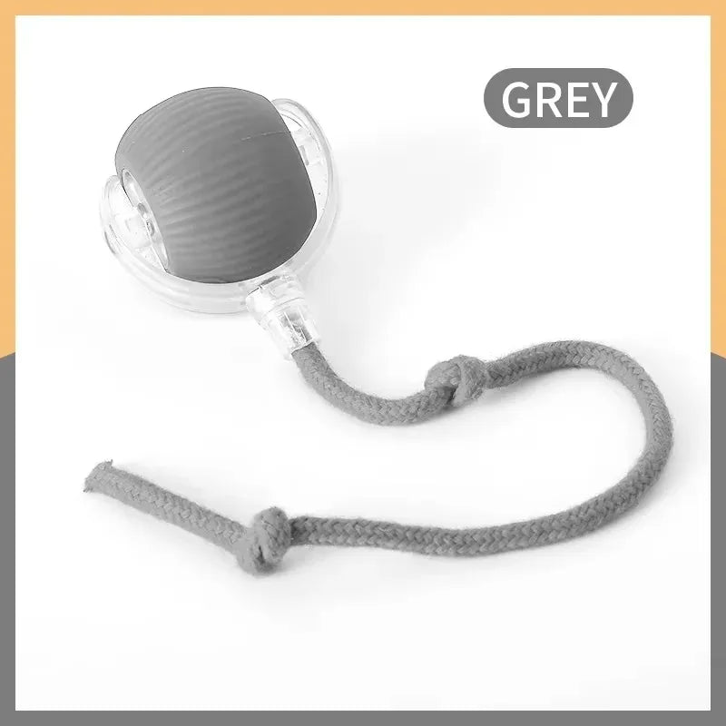 Smart Cat Toy